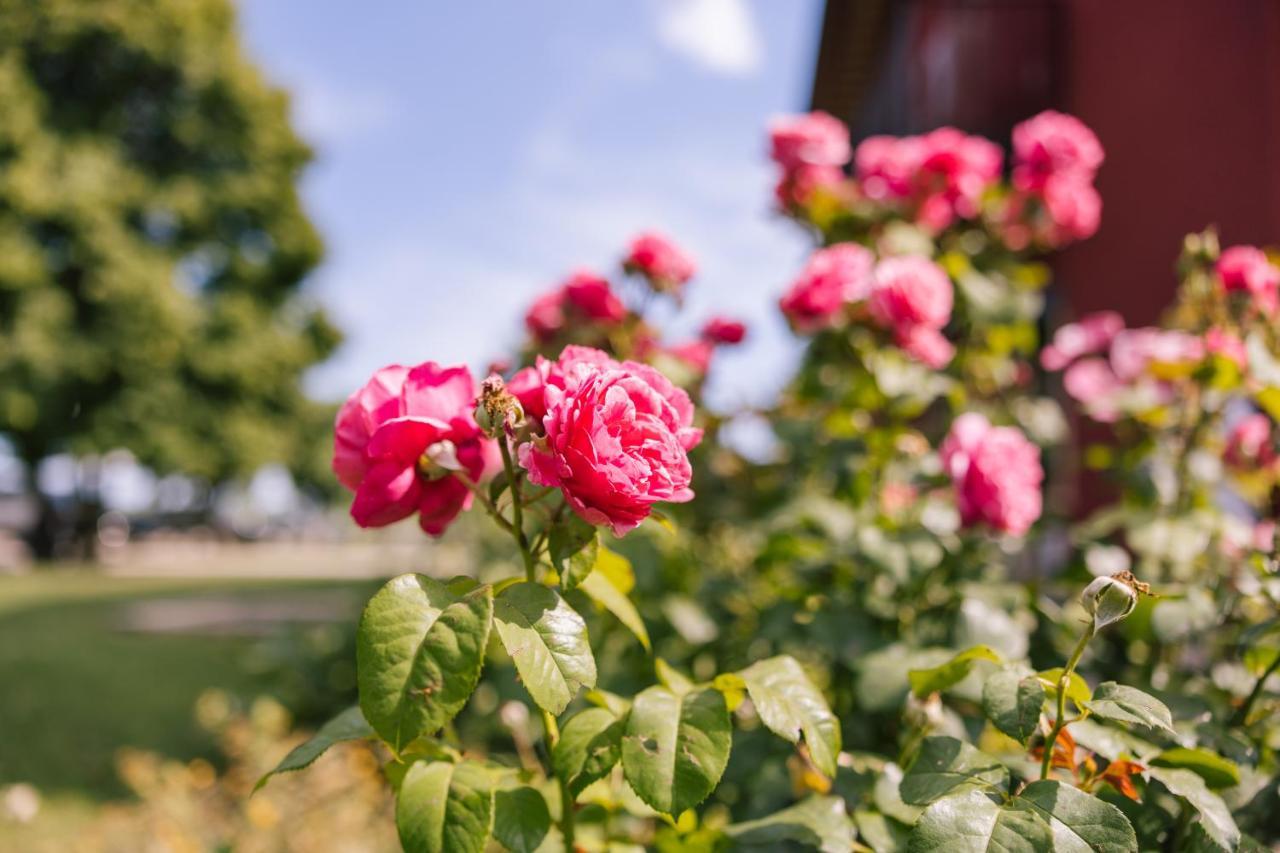 Agriturismo Albafiorita Vendégház Latisana Kültér fotó