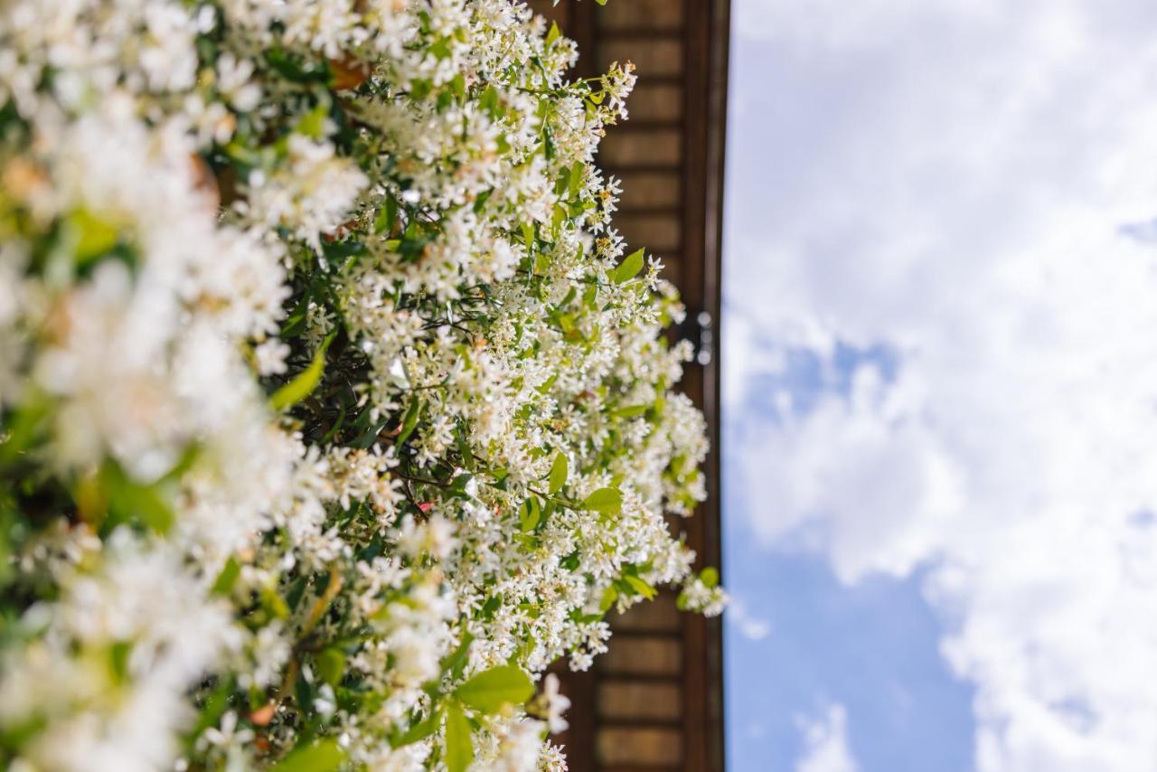 Agriturismo Albafiorita Vendégház Latisana Kültér fotó