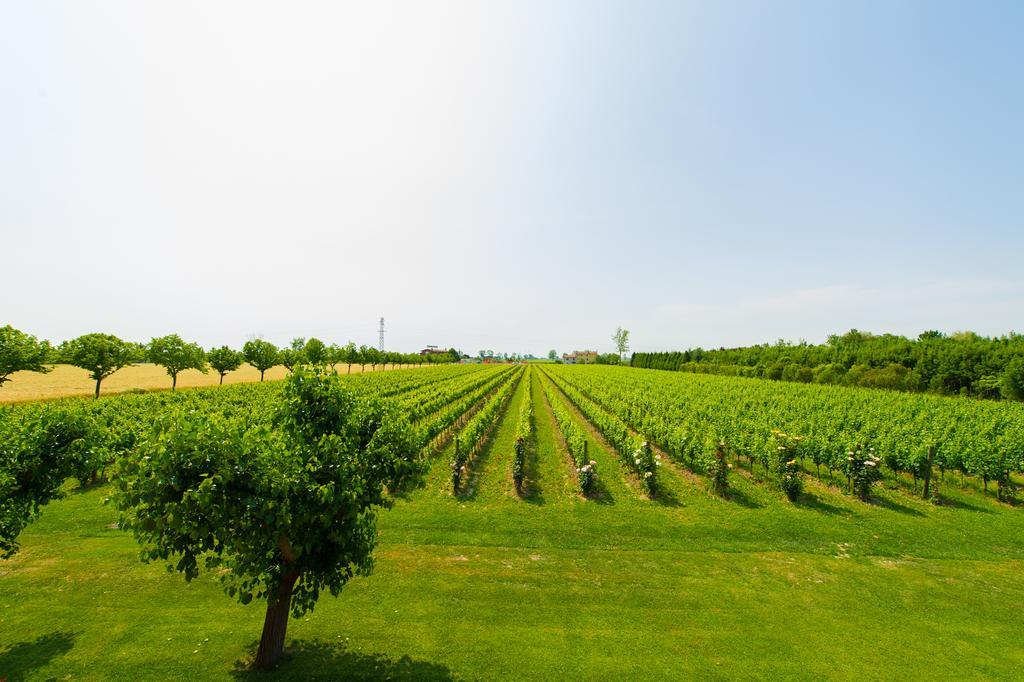 Agriturismo Albafiorita Vendégház Latisana Kültér fotó