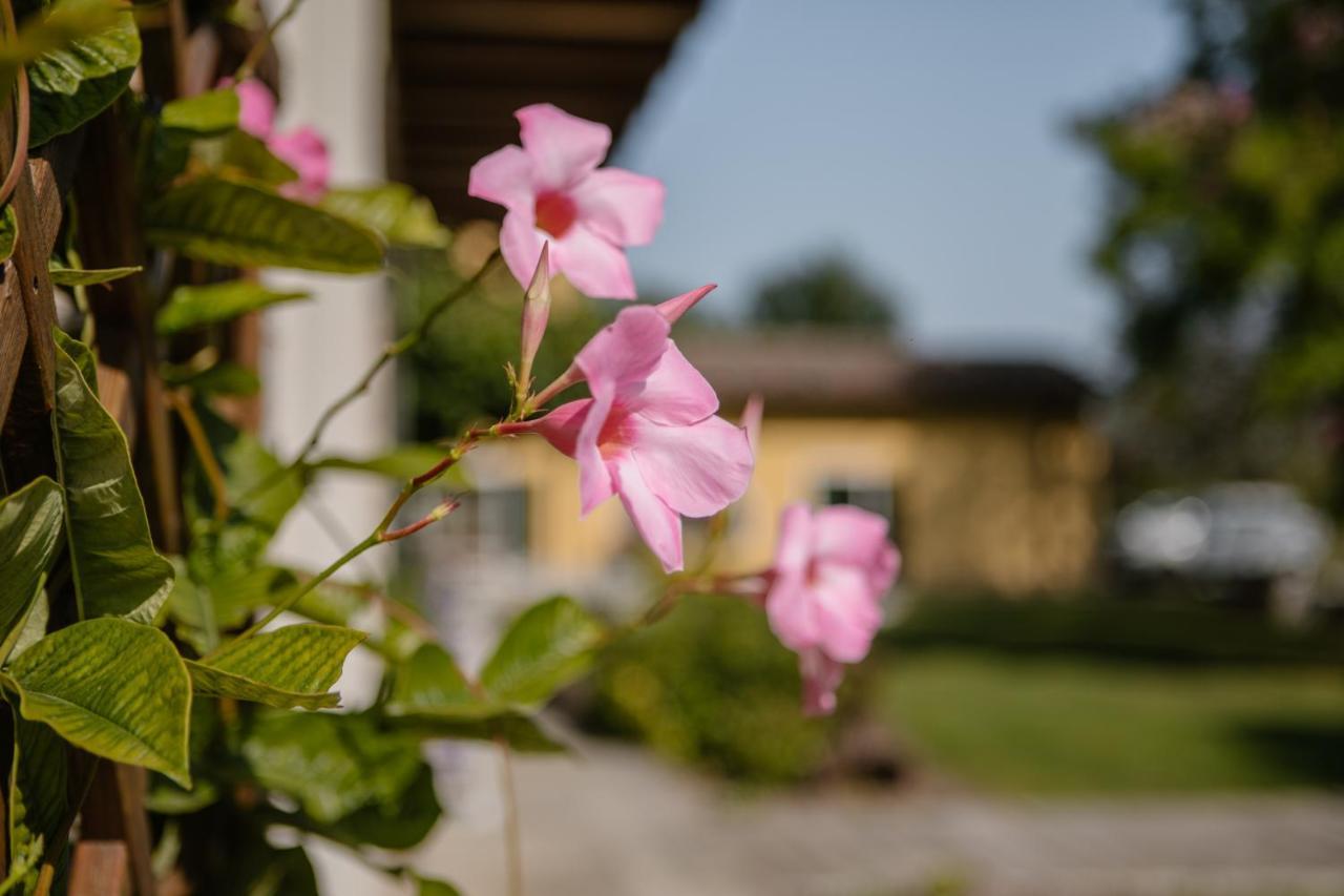 Agriturismo Albafiorita Vendégház Latisana Kültér fotó